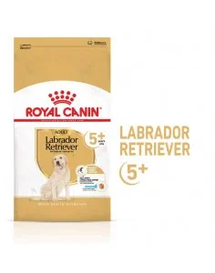 Royal Canin Labrador Retriever 5+