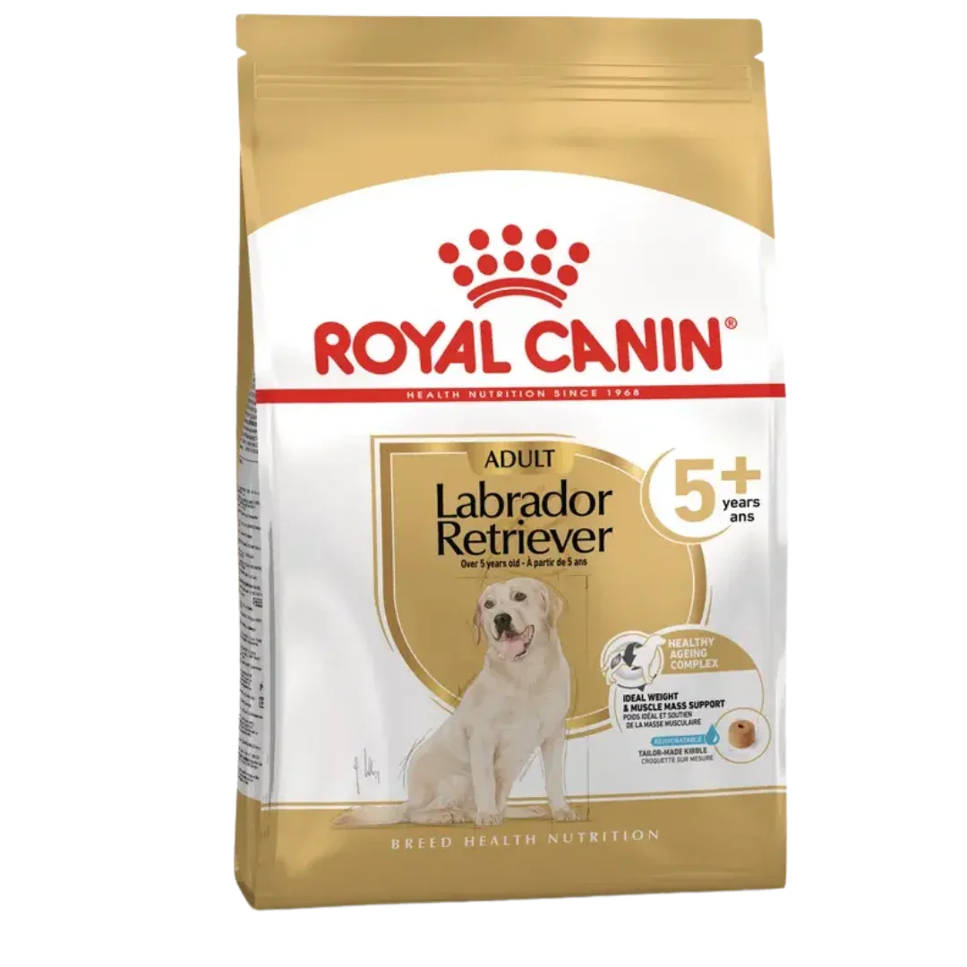 Royal Canin Labrador Retriever Adult 5+ 12kg – Ração Seca para Labrador Retriever