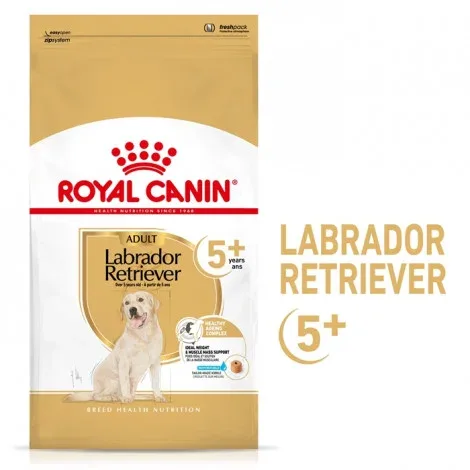 Royal Canin Labrador Retriever Adult 5+ – Ração seca para cão de raça com mais de 5 anos – Quantidade: 12 kg