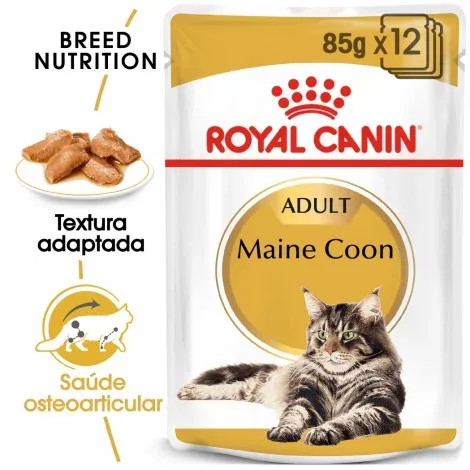 Royal Canin Maine Coon Adult – Alimento em molho para gato de raça – Quantidade: 85 g
