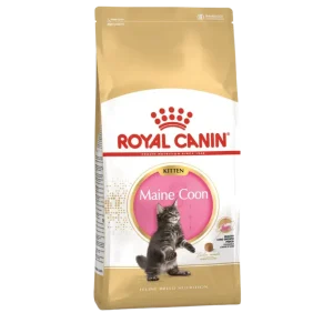 Royal Canin Maine Coon Kitten – Ração seca para gatinhos de raça