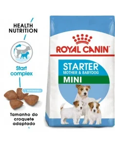 Royal Canin Mini Starter - Ração Seca para Cadelas Gestantes de Raça Pequena