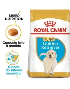 Royal Canin Puppy Golden Retriever - Ração Seca para Raça Grande
