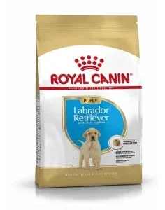 Royal Canin Puppy Labrador - Ração Cão Seca para Raça Grande