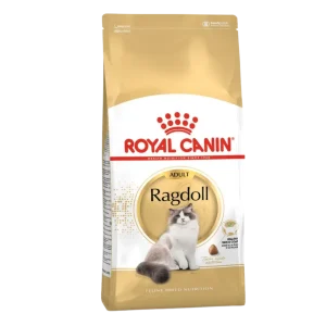 Royal Canin Ragdoll Adulto 2KG – Ração seca gato de raça
