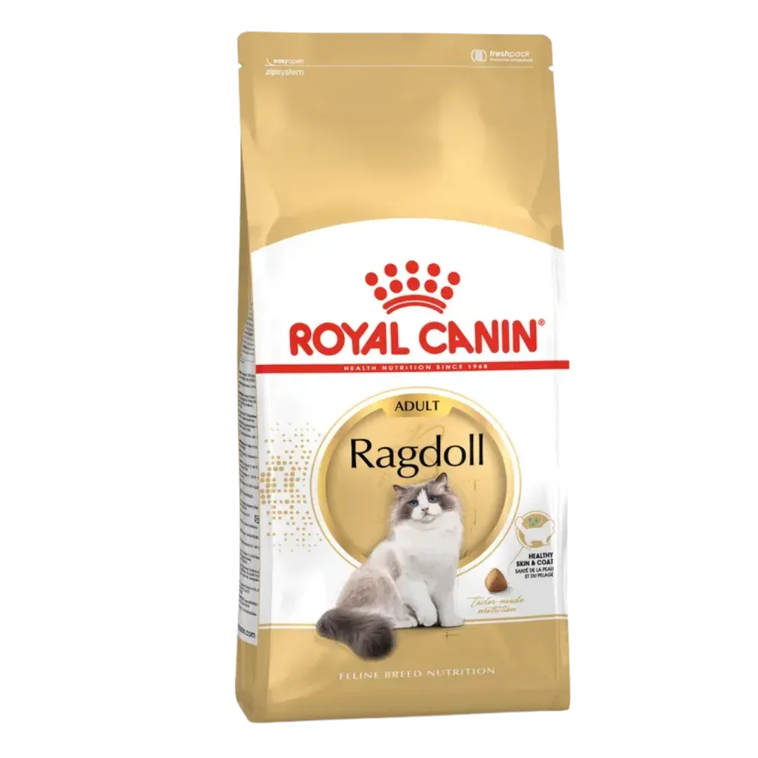 Royal Canin Ragdoll Adulto 2KG – Ração seca gato de raça