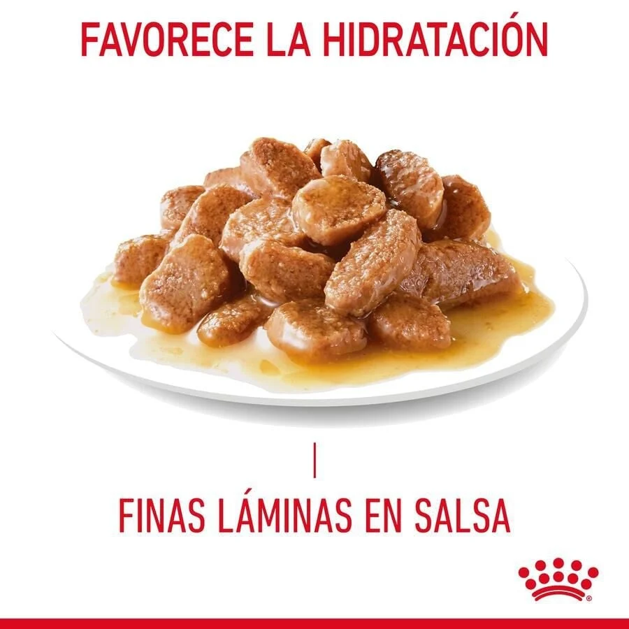 Royal Canin Urinary Care Adult Saqueta em molho para gatos - Image 2