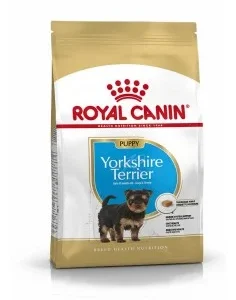 Royal Canin Yorkshire Puppy - Ração Seca para Yorkshire