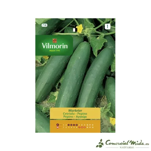 Sementes de pepino Vilmorin 5g