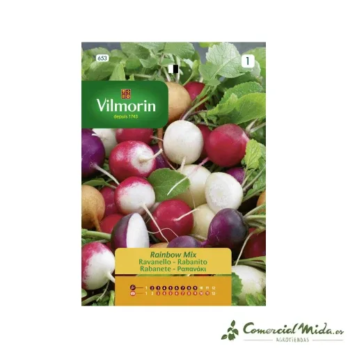 Sementes de rabanete multicoloridas redondas VILMORIN 4gr