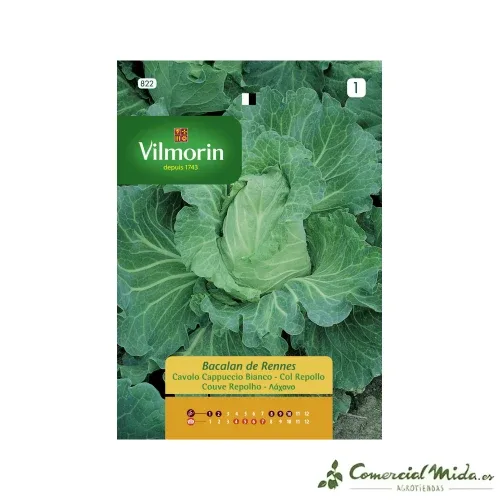 Sementes de repolho BACALAN DE RENNES REPOLHO Vilmorin 6g