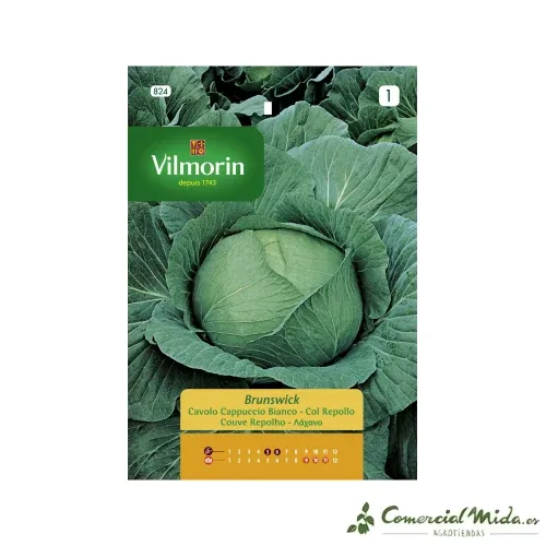 Sementes de repolho BRUNSWICK COBBAGE Vilmorin 6g
