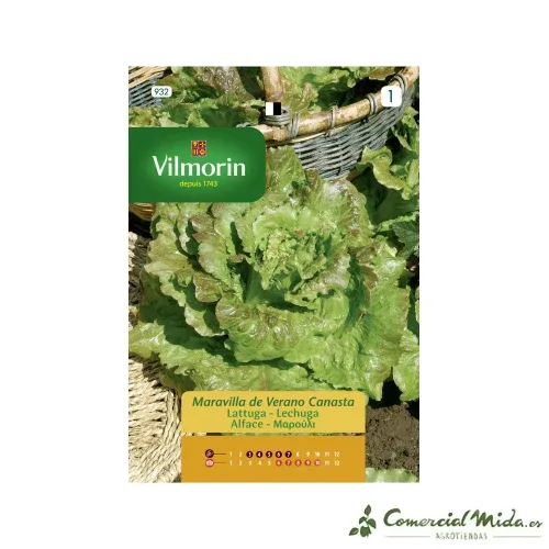 SEMENTES DE VERÃO MARAVILHA DE ALFURA Vilmorin 7g