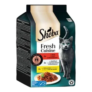 Sheba Fresh Cuisine Taste of Paris