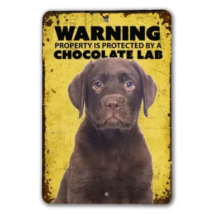 Sinal de aviso de Labrador de chocolate