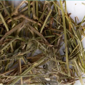 Sisal Psitacídeos 250gr – Sisal