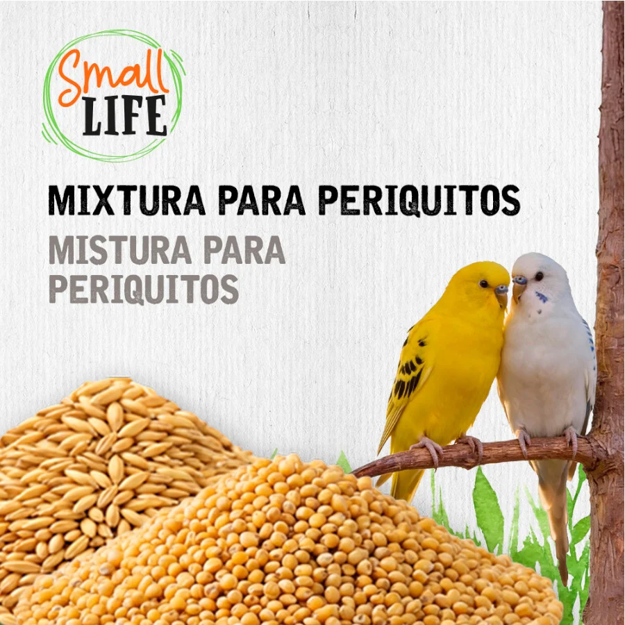 Small Life Mixtura Cubos para periquitos - Image 2