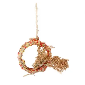 Snack – Anel com Panicgrass – 11cm