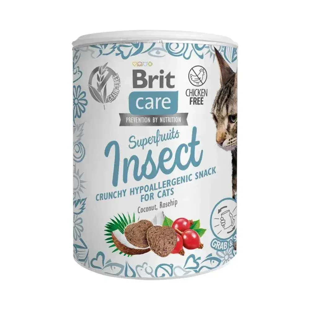 Snack natural com insetos e superfrutas para gatos exigentes