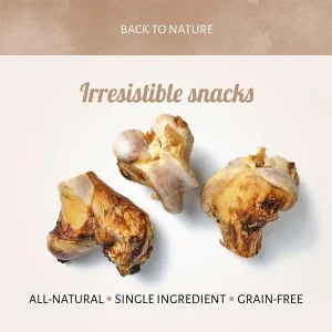SNACK NATURAL VÁCUO – OSSO VACA JOELHO – 16CM