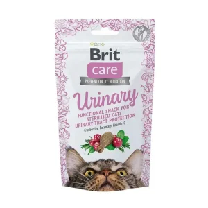 Snacks Saudáveis para Cuidados Urinários – Brit Care