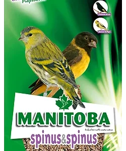 Spinus e Spinus – Manitoba