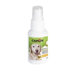 Spray Dental C/Enzimas 50ml – Camon