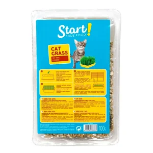 Start Erva gateira para gatos Pack Poupança!