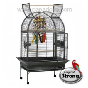 STRONG GAIOLA VILLA ISA
