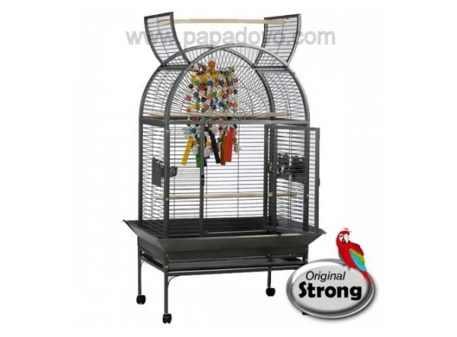 STRONG GAIOLA VILLA ISA