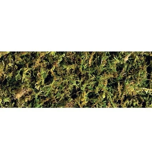 Substrato Exo Terra Forest Moss - Image 2