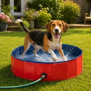 Summer Vibes Fresh Pool Piscina Vermelha para cães