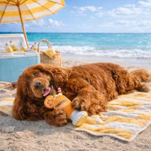 Summer Vibes Pawperol Spritz Peluche para cães