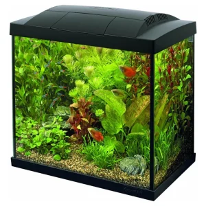 SUPERFISH – AQUÁRIO “START” (PRETO)