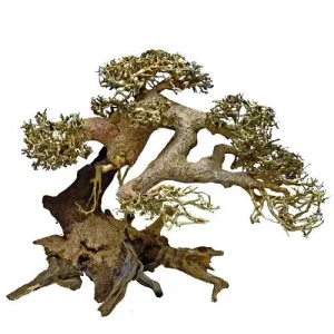 SUPERFISH BONSAI DRIFTWOOD L