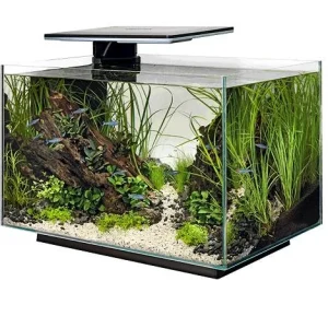 SUPERFISH QUADRO 70 PRO BLACK