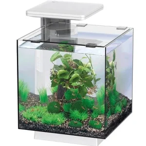 SUPERFISH QUBIQ 15 PRO WHITE