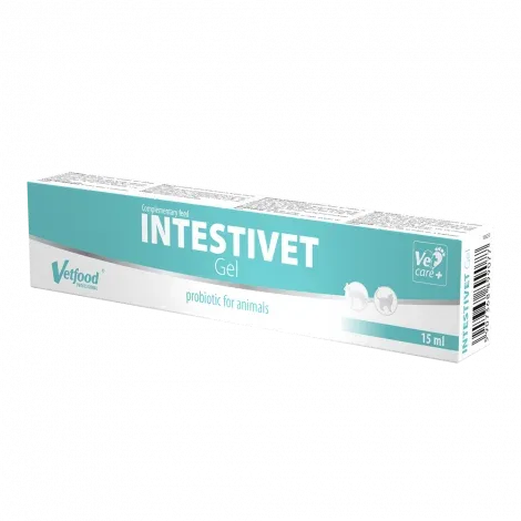 Suplemento alimentar para cães e gatos – Intestivet Gel – VetFood – Quantidade: 15 ml