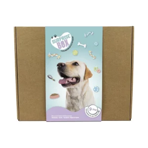Surprise Box Cão (Porte Grande)