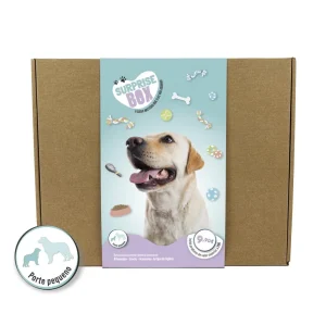 Surprise Box Cão (Porte Pequeno / Médio)