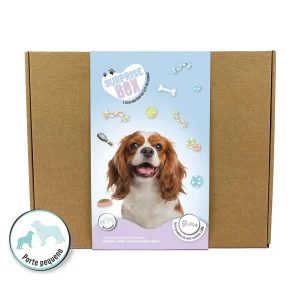 SURPRISE BOX CÃO (Porte Pequeno/Médio)