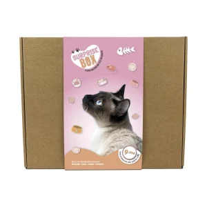 Surprise Box Gato