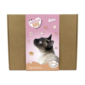 SURPRISE BOX GATO