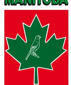 T3 Platino – Manitoba