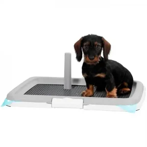 Tabuleiro de treino e Aprendizagem para cachorrinhos