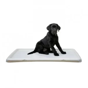 Tabuleiro para resguardos – Kerbl – Medidas: 90 x 60 cm