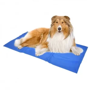 Tapete refrescante para cães – Duvo Plus – Tamanho: L