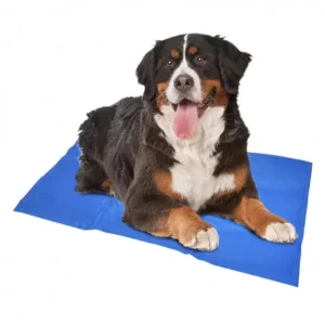 Tapete refrescante para cães – Duvo Plus – Tamanho: XXL