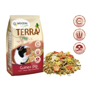 TERRA – ALIMENTO PREMIUM PARA PORQUINHOS-DA-ÍNDIA