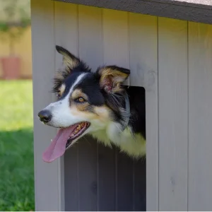 TK-Pet Lake Casota de Madeira para cães